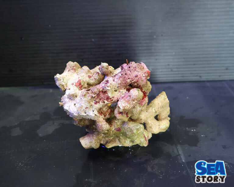 ライブロックのサイズは水槽規模別に合わせて選ぼう